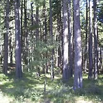 La Finestra Sull'etna Дом отдыха