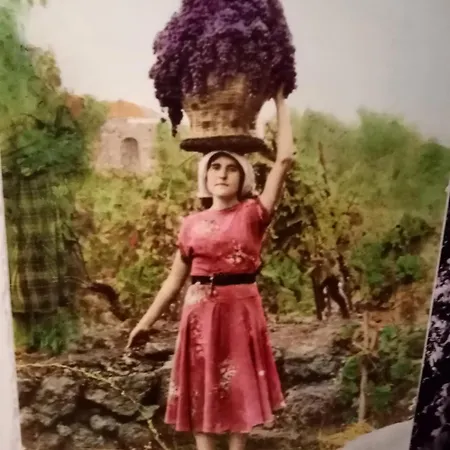 La Finestra Sull'etna